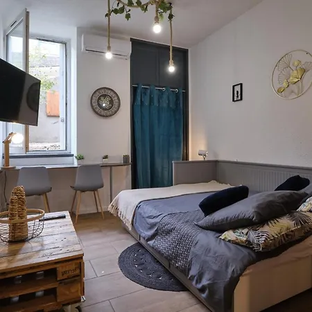 Calme En Centre , Spacieux Et Renove A 50m De La Place Carnot *